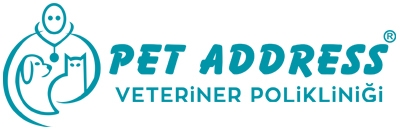 Gaziosmanpaşa Veteriner