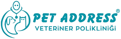 Veteriner Gaziosmanpaşa